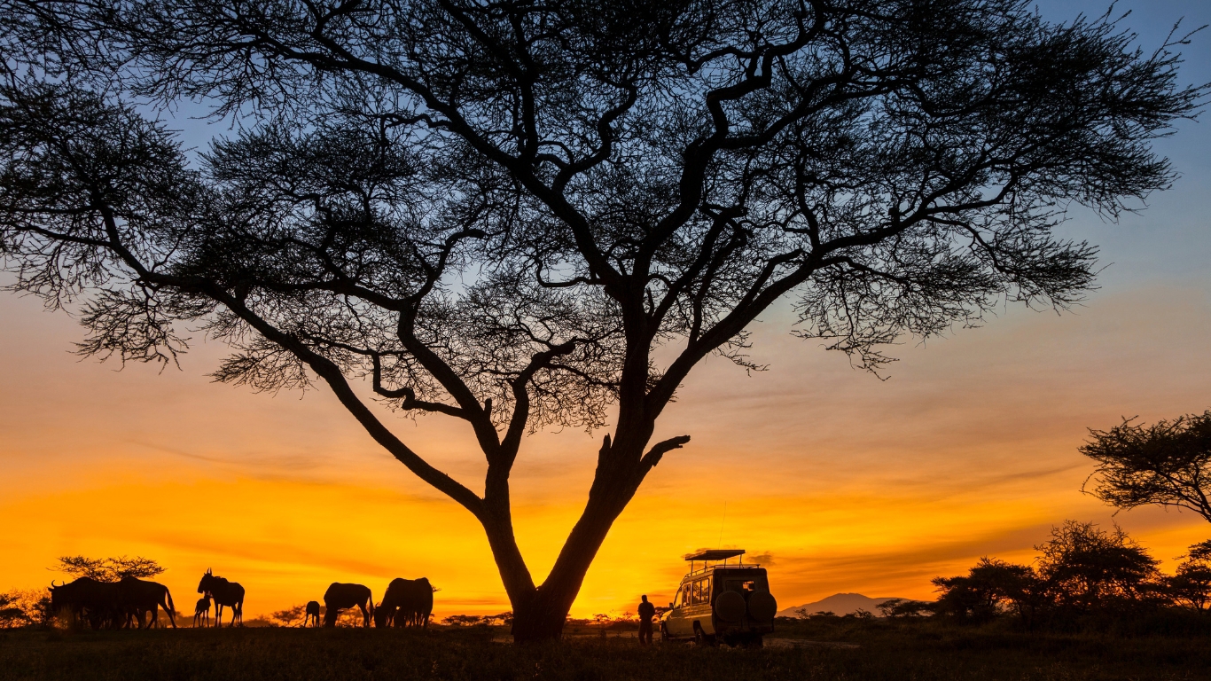 Africa, safari and falls, Southern Africa · Safari luxury journey planned by BlueGold Travel